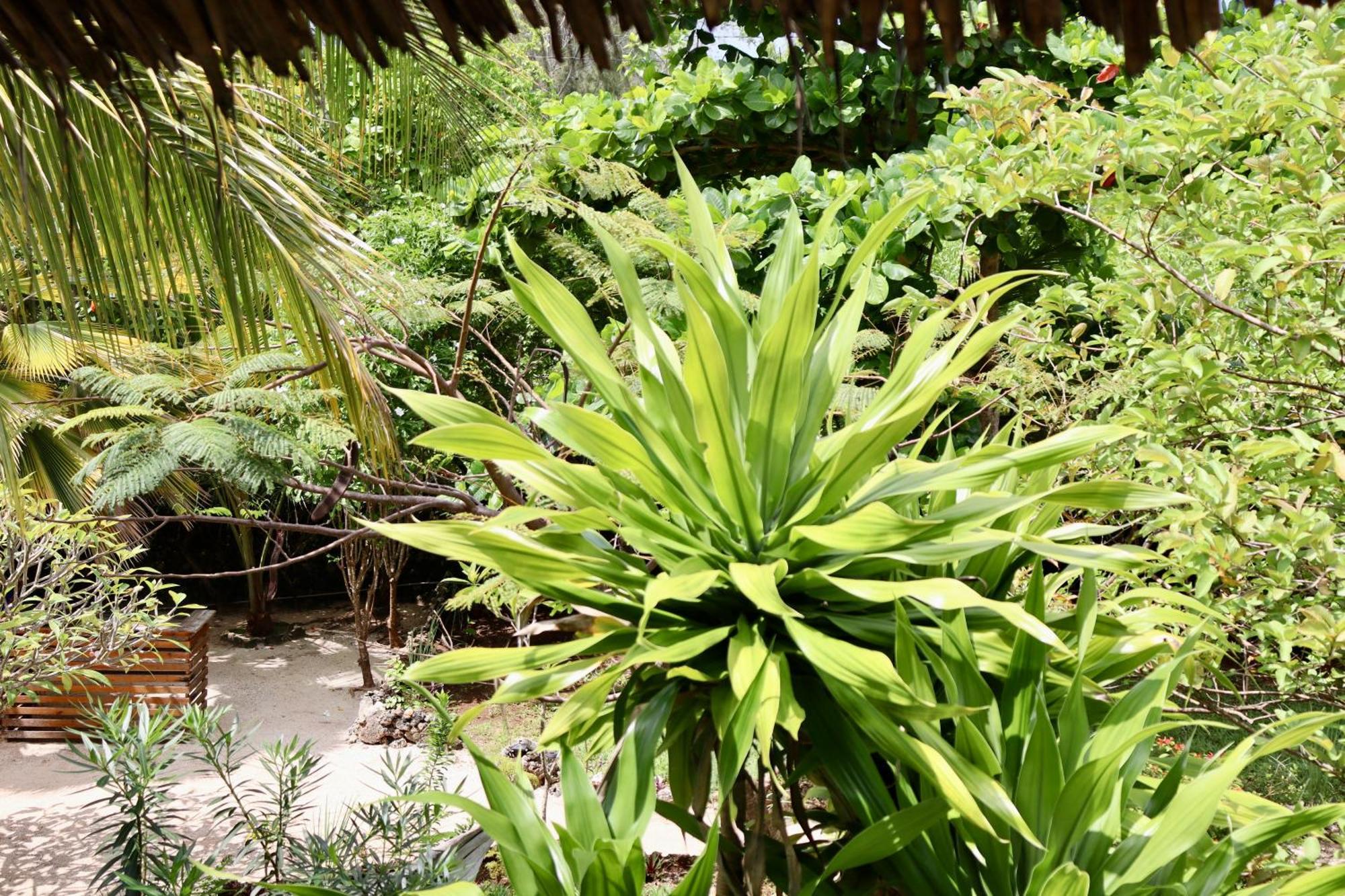 Embe Lodge كيزيماكزي المظهر الخارجي الصورة