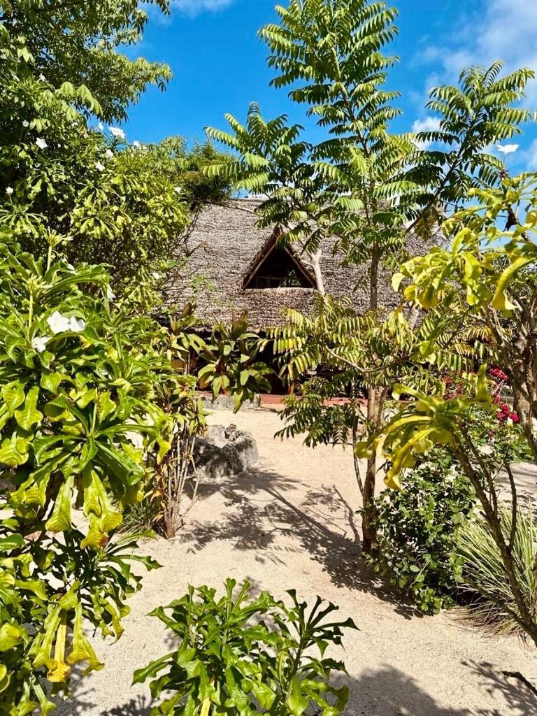 Embe Lodge كيزيماكزي المظهر الخارجي الصورة